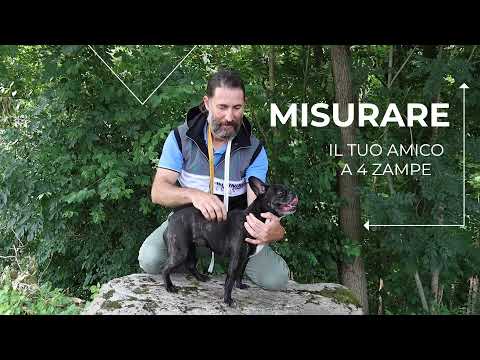 Bauzaar Cappotto Impermeabile per cani Montreal Croci Offerta Pasqua