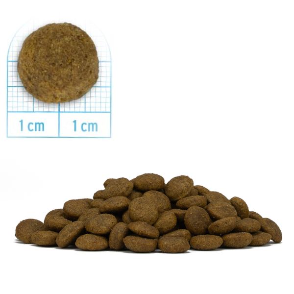 Bauzaar Forza10 MonoDiet Medium Adult Low Grain Hypoallergenic Cervo con patate Offerta per la Festa della Mamma