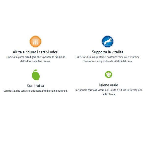 Bauzaar Natural Trainer Adult Mini con Manzo e Riso Offerte esclusive