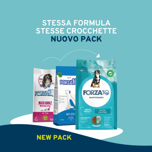 Bauzaar Forza10 Maintenance Maxi Adult al Pesce Bestseller