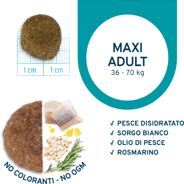 Bauzaar Forza10 Maintenance Maxi Adult al Pesce Bestseller