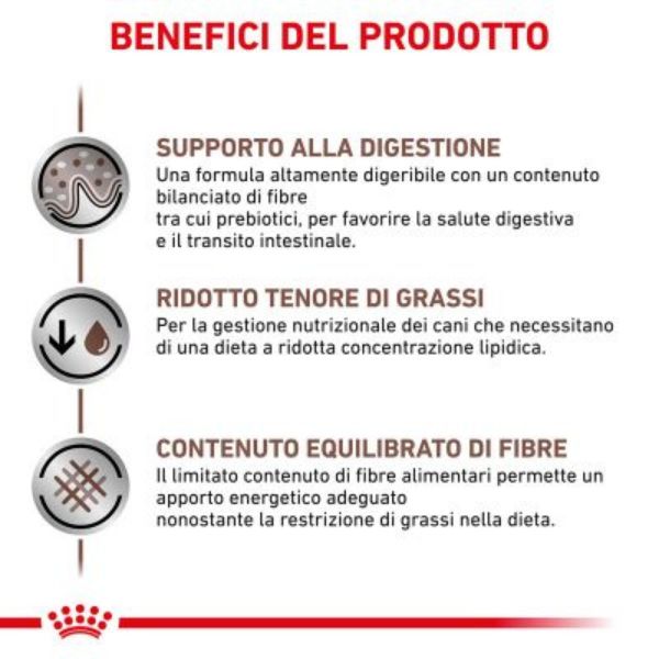 Bauzaar Royal Canin Gastrointestinal Low Fat Canine Sconti VIP