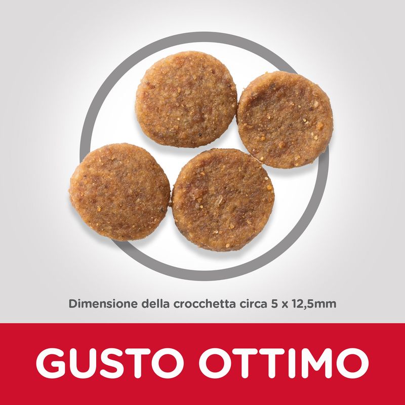 Zooplus Hill's Science Plan Adult 1-6 Medium con Pollo Novità
