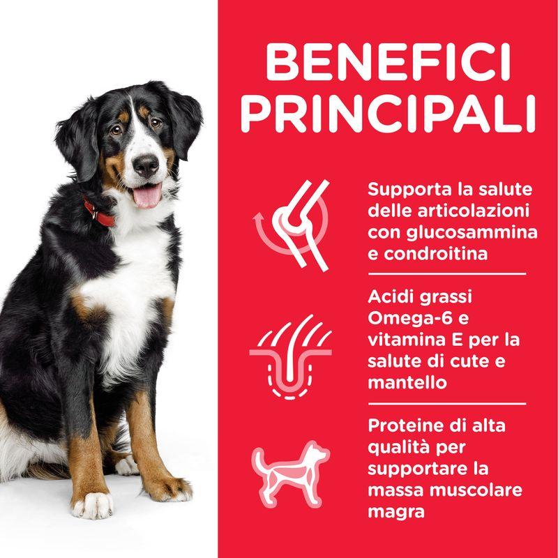 Zooplus Hill's Science Plan Adult 1-5 Large con Agnello e Riso Outlet