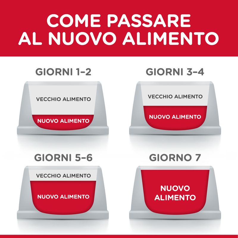 Zooplus Hill's Science Plan Adult 1-5 Large con Agnello e Riso Outlet