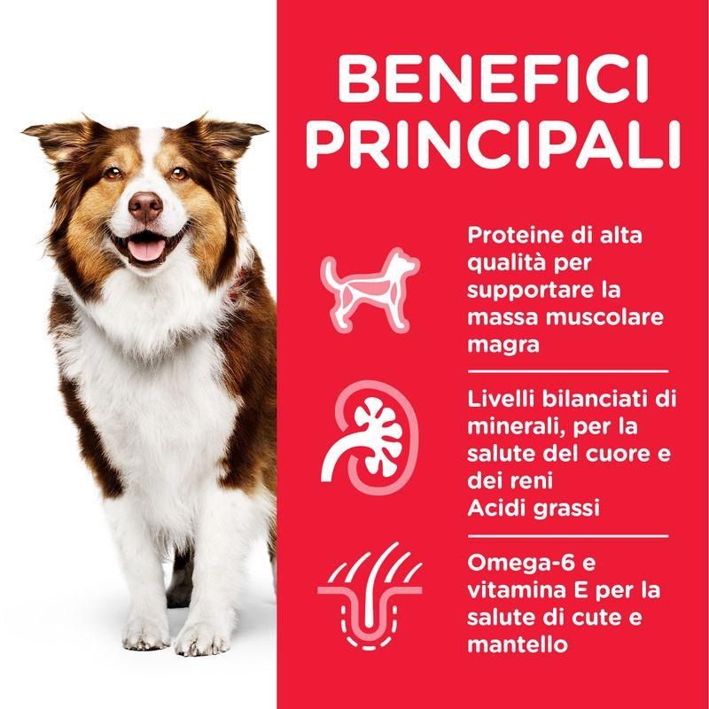 Zooplus Hill's Science Plan Mature Adult 7+ Medium con Agnello & Riso In Vendita
