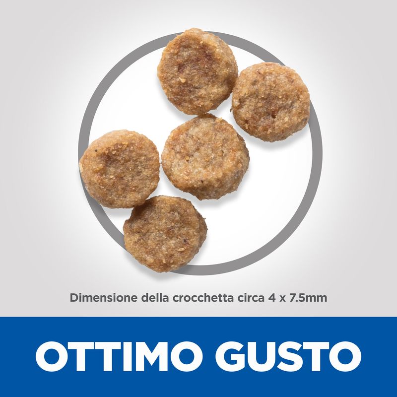 Zooplus Hill's Science Plan Mature Adult 7+ Small & Mini con Pollo Vendita Calda