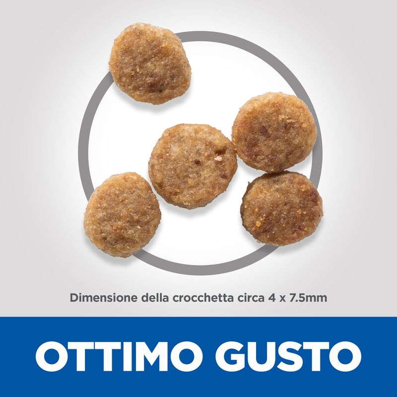 Zooplus Hill's Science Plan Senior 11+ Small & Mini con Pollo I Più Venduti