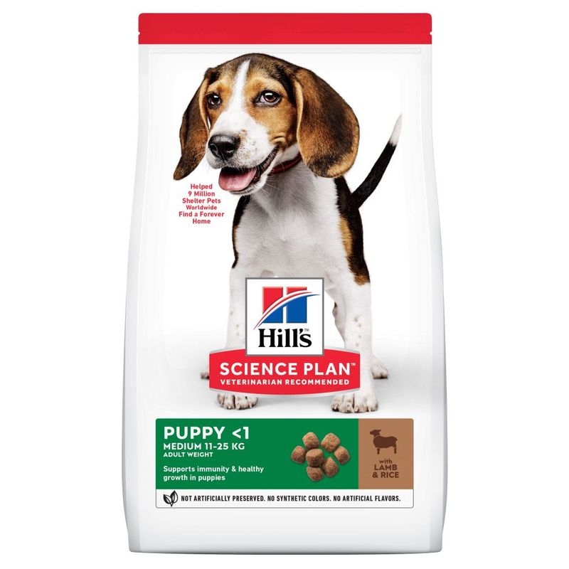 Zooplus Hill's Science Plan Puppy <1 Medium con Agnello e Riso