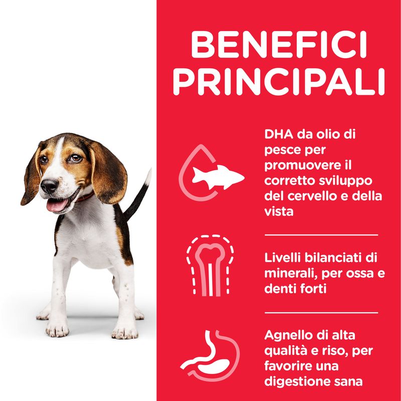 Zooplus Hill's Science Plan Puppy <1 Medium con Agnello e Riso Negozio