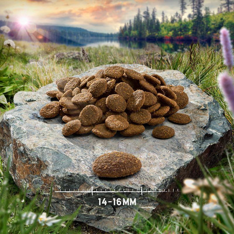 Zooplus Prezzo speciale 12 kg Purizon Crocchette per cani Shopping Online
