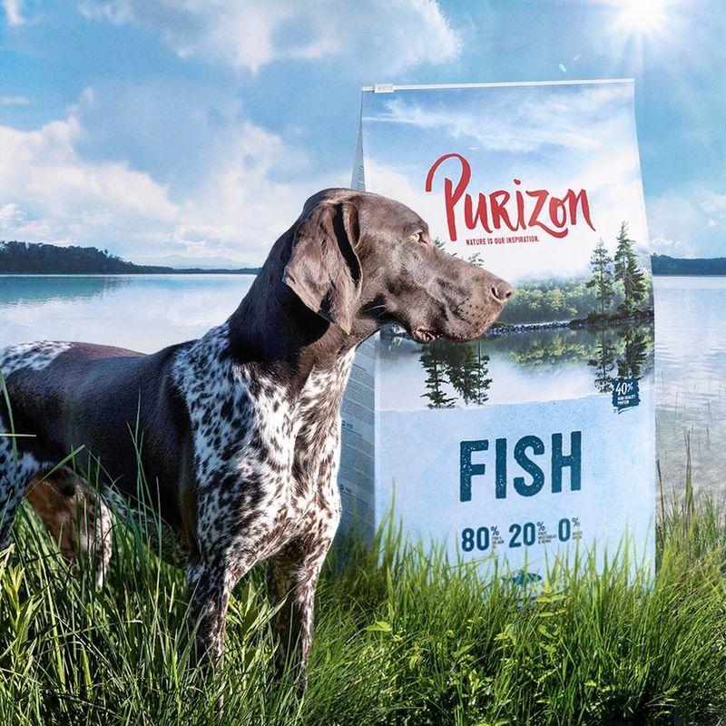 Zooplus Purizon Adult Pesce Crocchette senza cereali per cane Prezzo Ridotto
