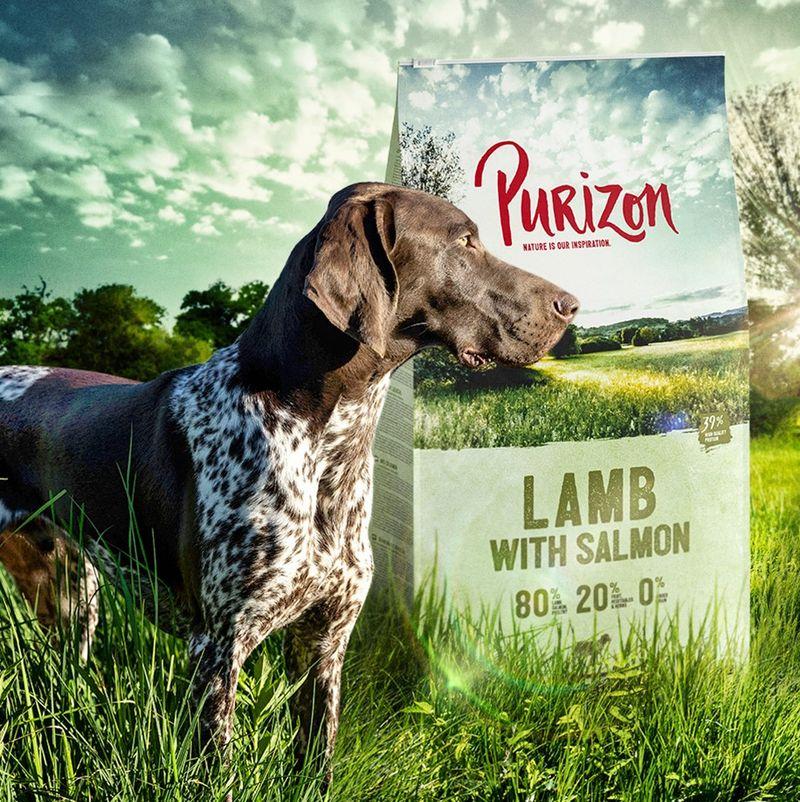 Zooplus Purizon Adult Agnello con Salmone Crocchette senza cereali per cane Sconto