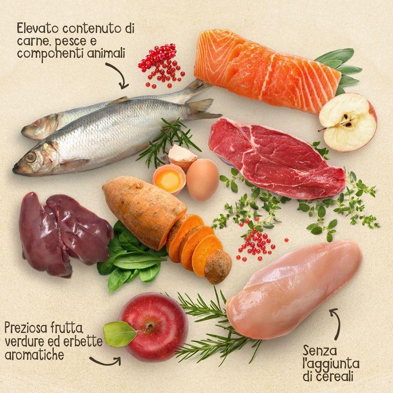 Zooplus senza cereali Economico