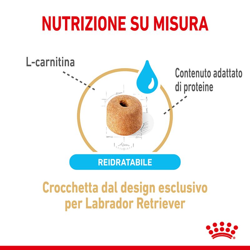 Zooplus Royal Canin Labrador Retriever Adult 5+ Crocchette per cane I Più Venduti