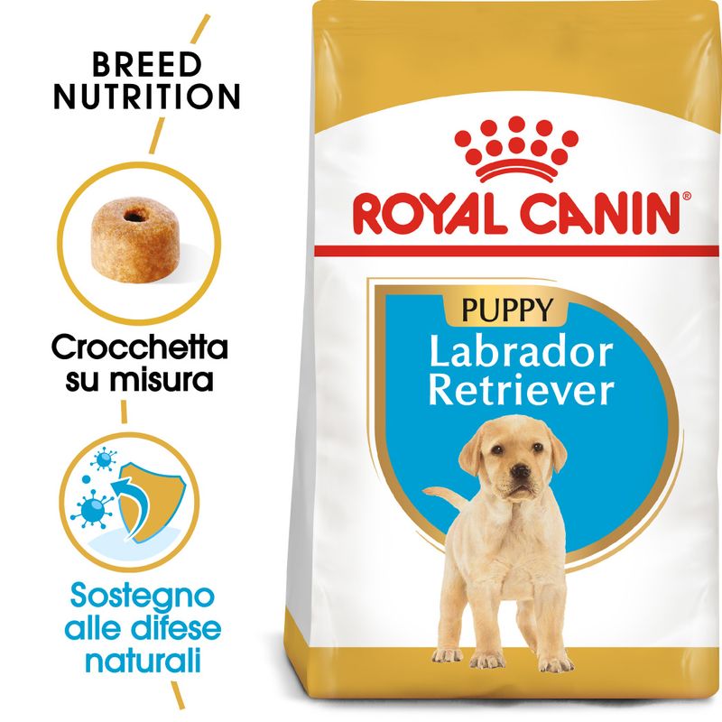 Zooplus Royal Canin Labrador Retriever Puppy Crocchette per cane