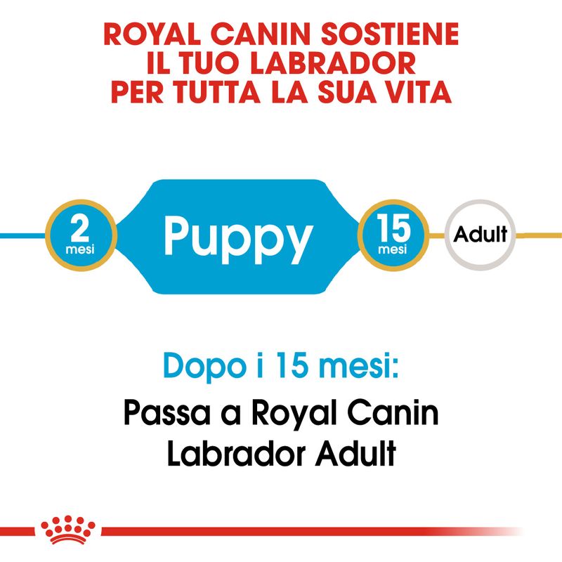 Zooplus Royal Canin Labrador Retriever Puppy Crocchette per cane Vendite Flash