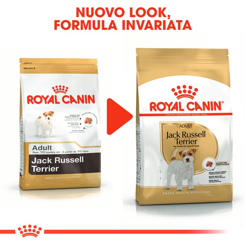 Zooplus Royal Canin Jack Russell Terrier Adult Crocchette per cane Shopping Online