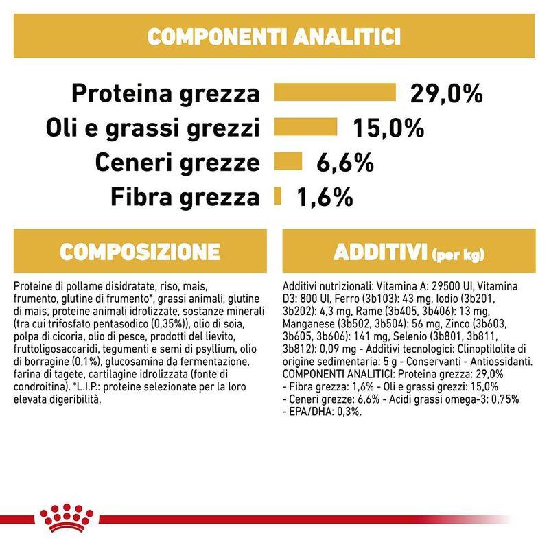 Zooplus Royal Canin Bichon Frise Adult Crocchette per cane Nuova