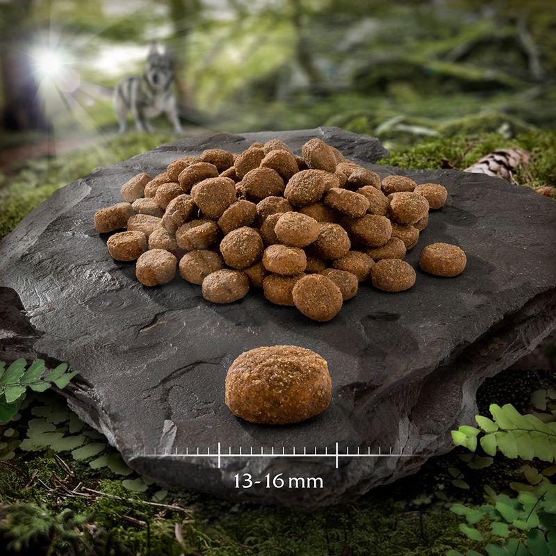 Zooplus 10€ DI SCONTO 12 kg Wolf of Wilderness Crocchette per cani 2025