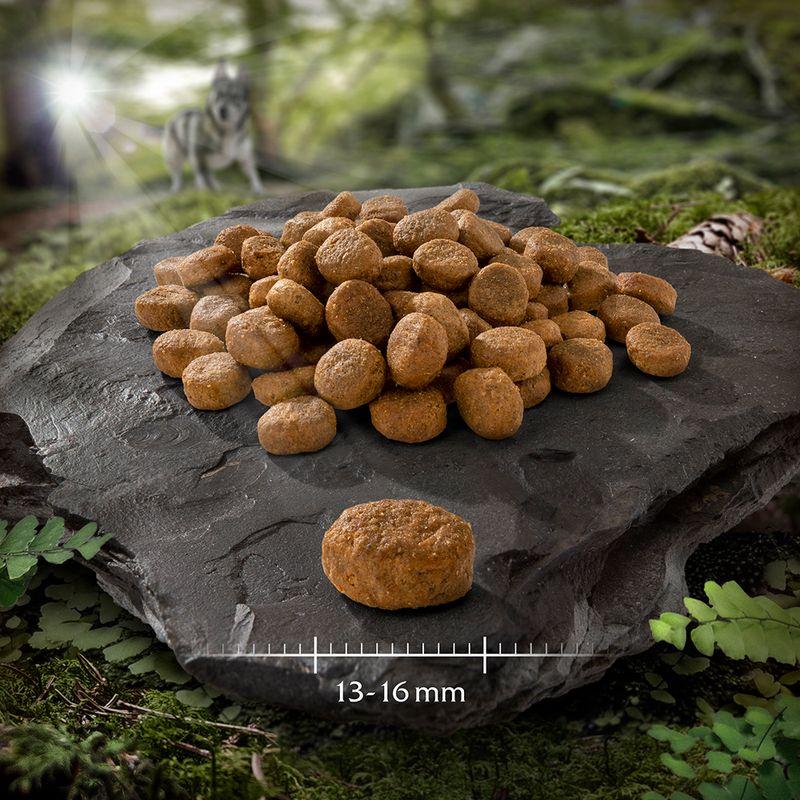Zooplus Prezzo speciale 1 kg Wolf of Wilderness Crocchette In Linea
