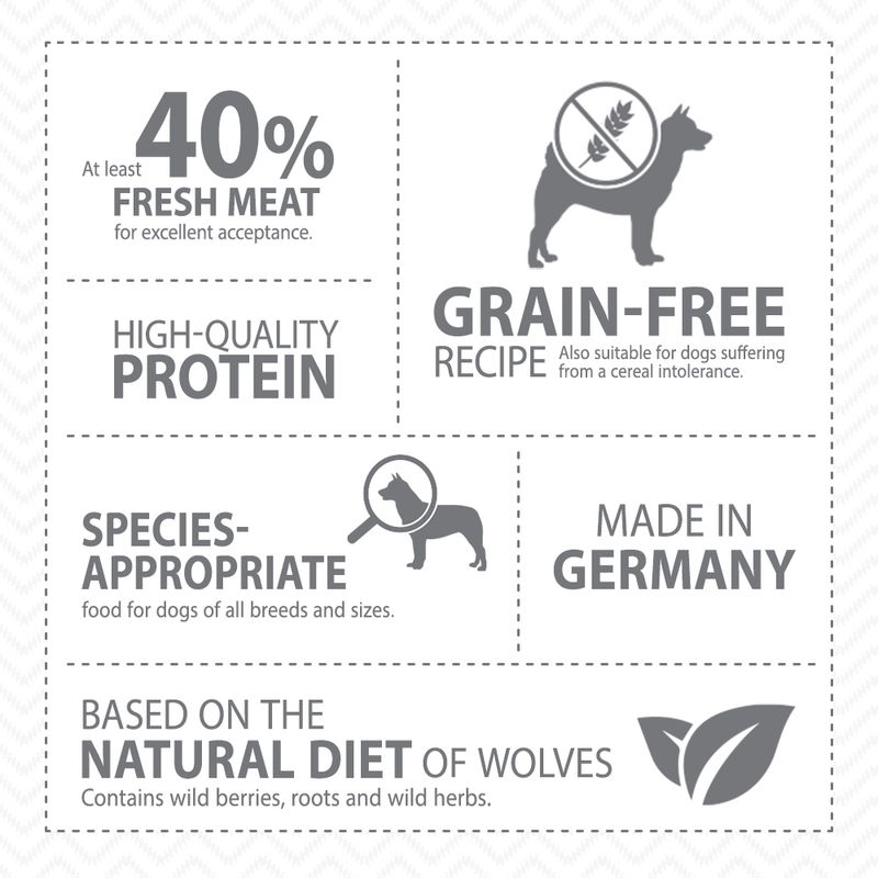 Zooplus Confezione prova Wolf of Wilderness Crocchette umido e snack per cane Qualità