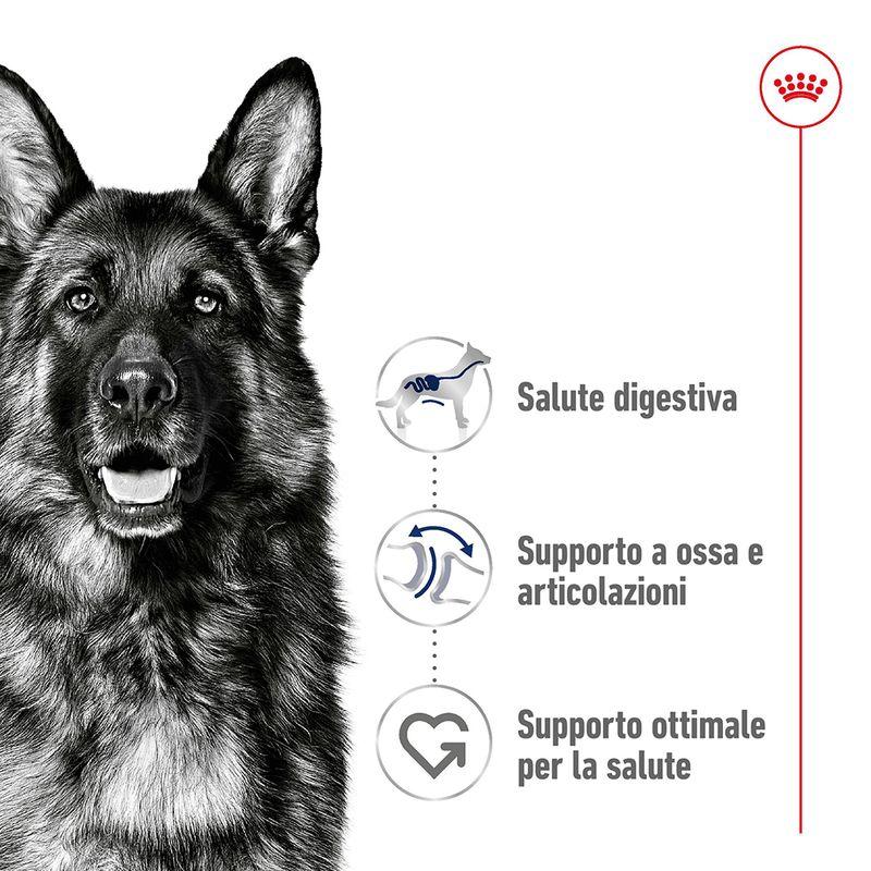 Zooplus Royal Canin Maxi Adult Crocchette per cane Flash Sale