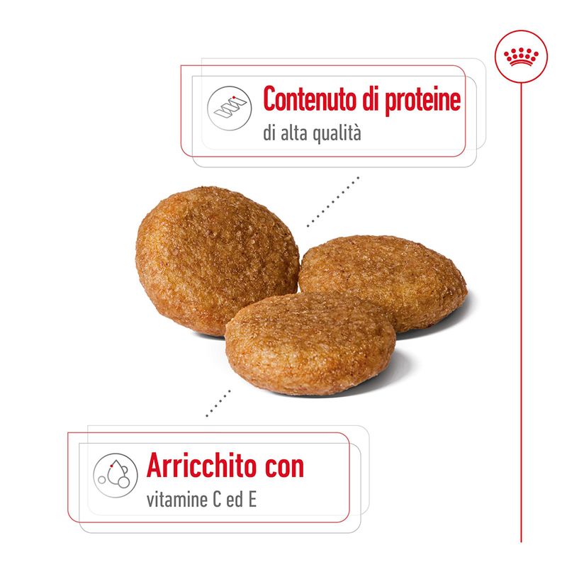 Zooplus Royal Canin Medium Adult Crocchette per cane Outlet