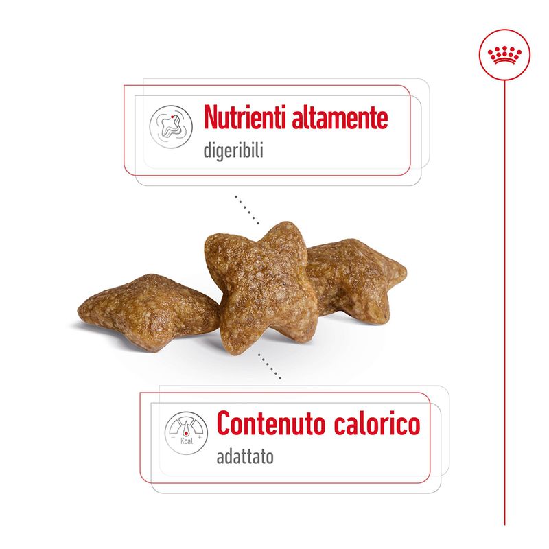Zooplus Royal Canin Mini Adult Crocchette per cane In Vendita