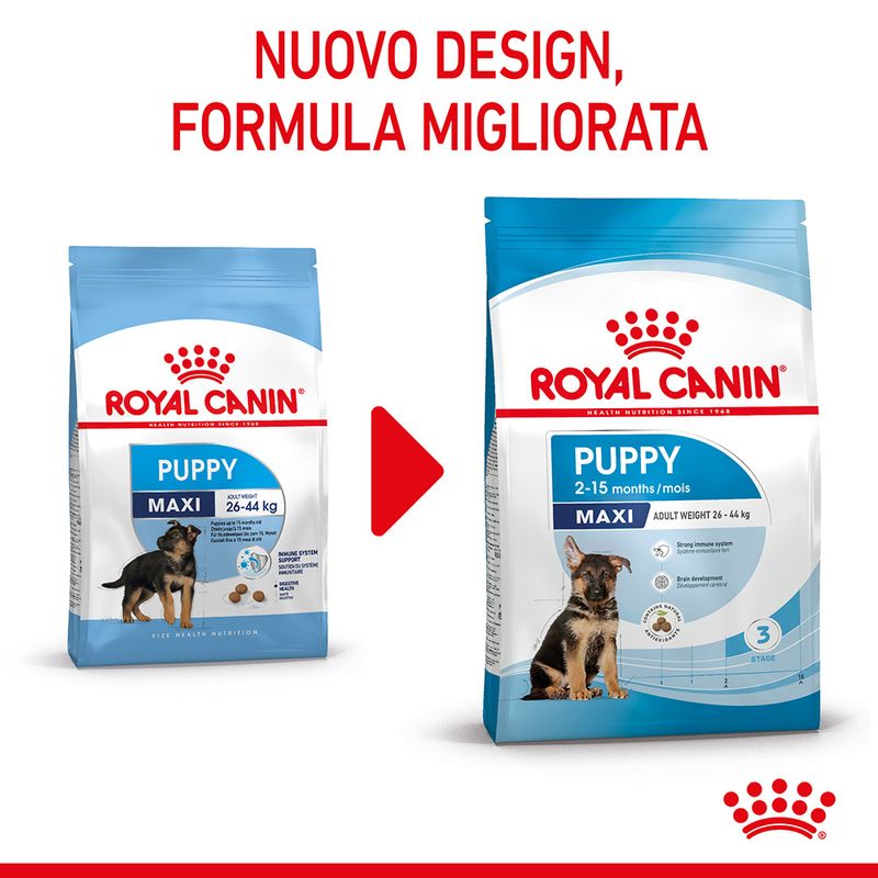 Zooplus Royal Canin Maxi Puppy Crocchette per cane Saldi