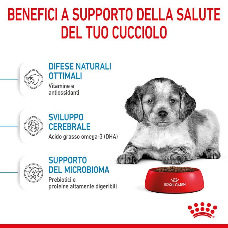 Zooplus Royal Canin Medium Puppy Crocchette per cane Hotsell