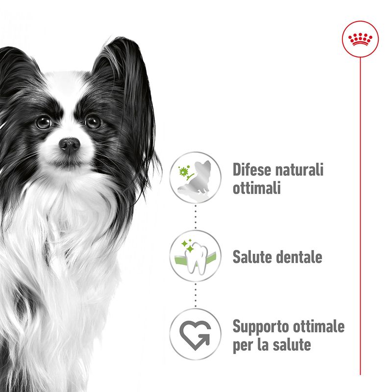 Zooplus Royal Canin X-Small Adult Crocchette per cane Saldi Di Fabbrica