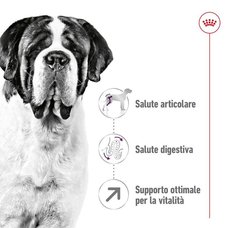 Zooplus Royal Canin Giant Adult Crocchette per cane Offerta per la Festa della Mamma