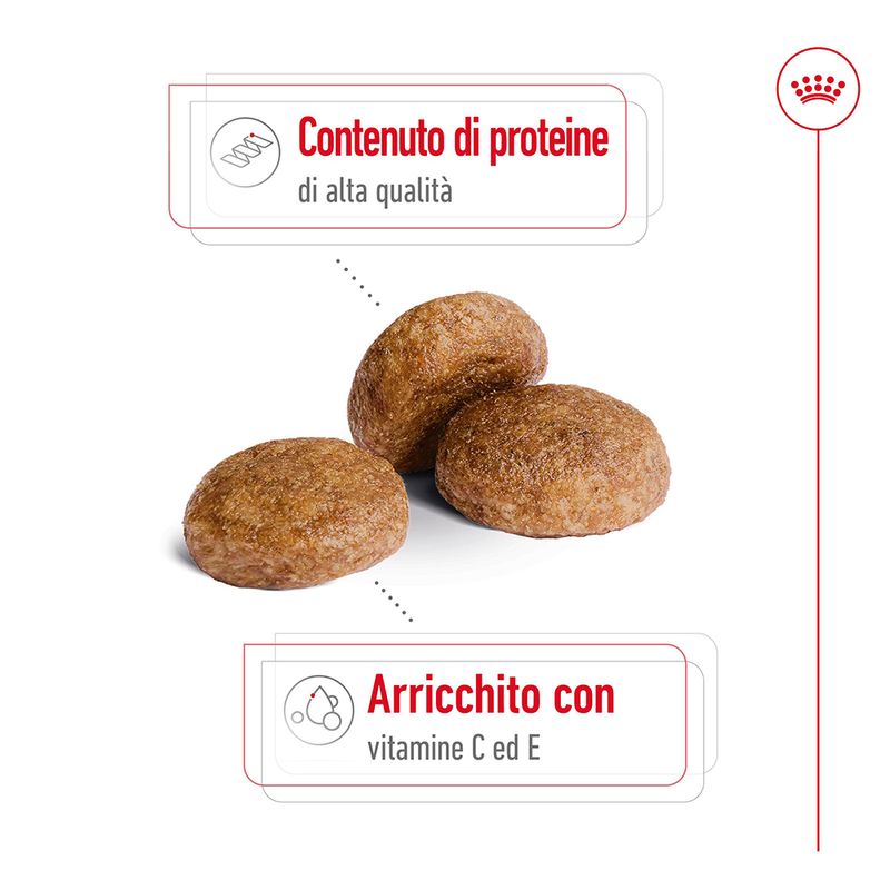 Zooplus Royal Canin Medium Adult 7+ Crocchette per cane In Saldo