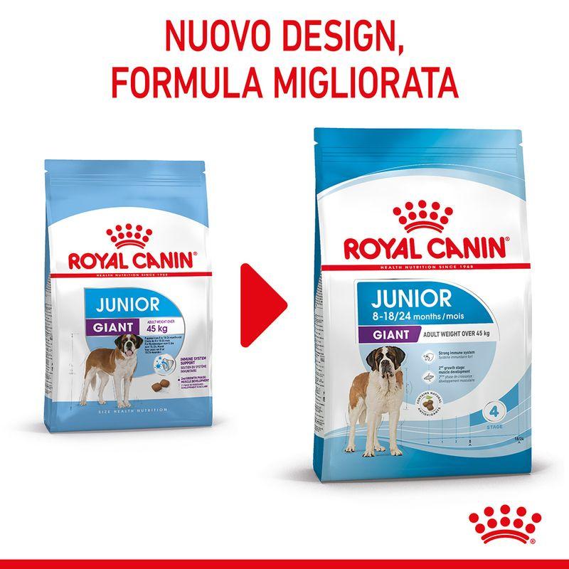 Zooplus Royal Canin Giant Junior Crocchette cane Nuova