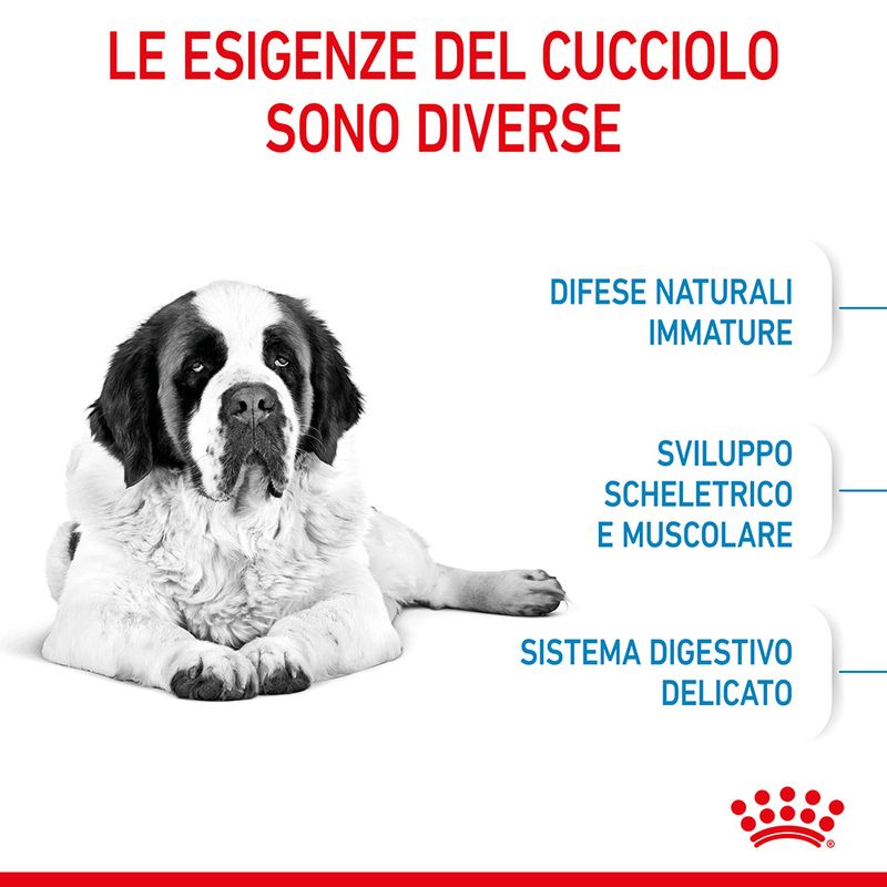 Zooplus Royal Canin Giant Junior Crocchette cane Nuova