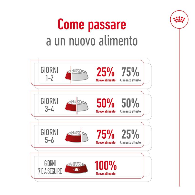 Zooplus Royal Canin X-Small Adult 8+ Crocchette per cane Moda