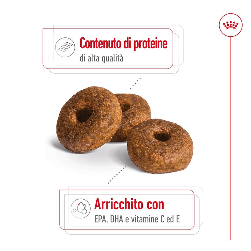 Zooplus Royal Canin Medium Ageing 10+ Crocchette per cane 2025