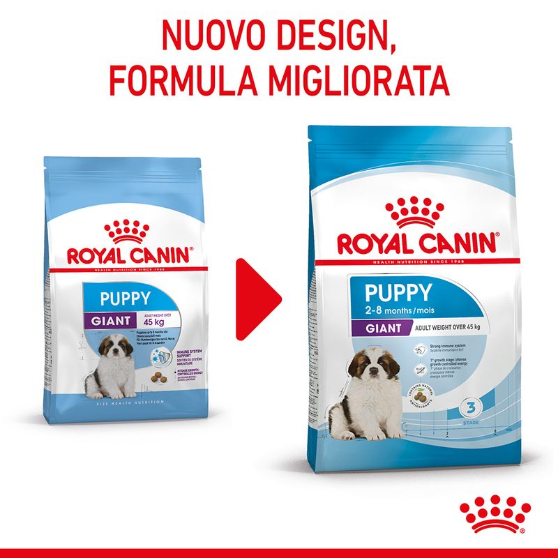 Zooplus Royal Canin Giant Puppy Crocchette per cane Italy