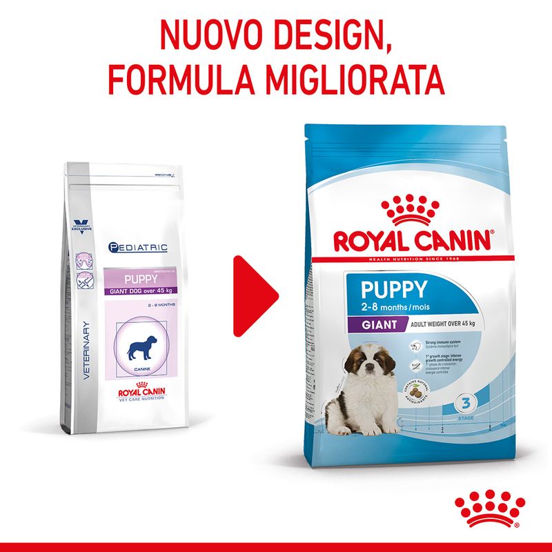 Zooplus Royal Canin Giant Puppy Crocchette per cane Italy