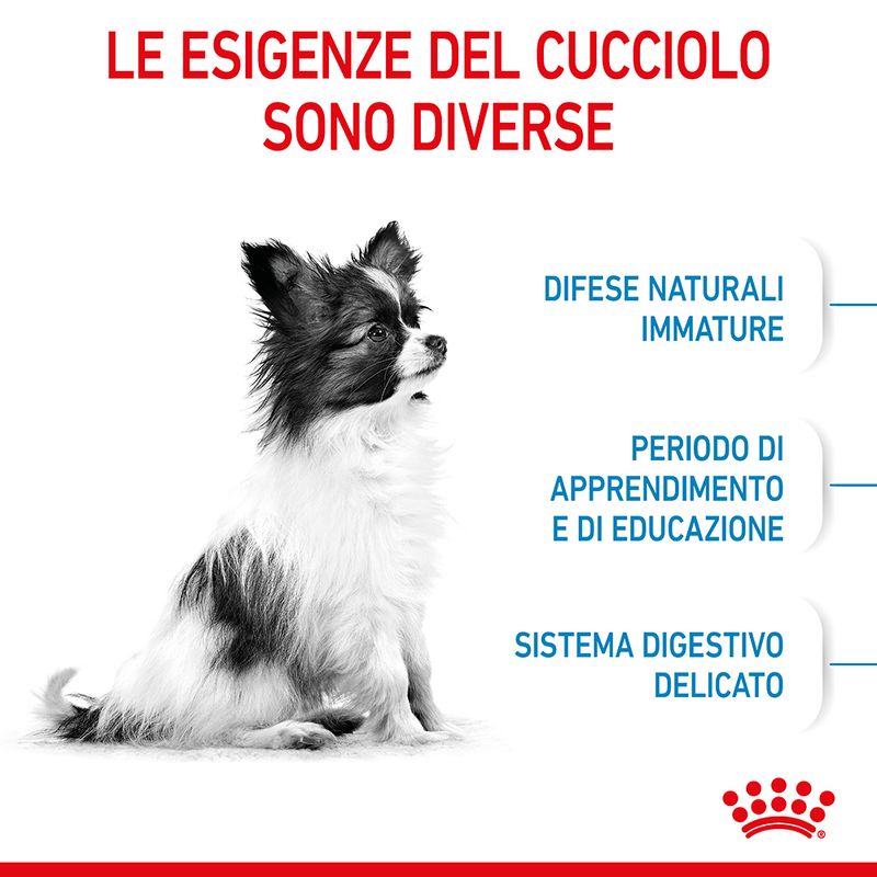 Zooplus Royal Canin X-Small Puppy Crocchette per cane Italia