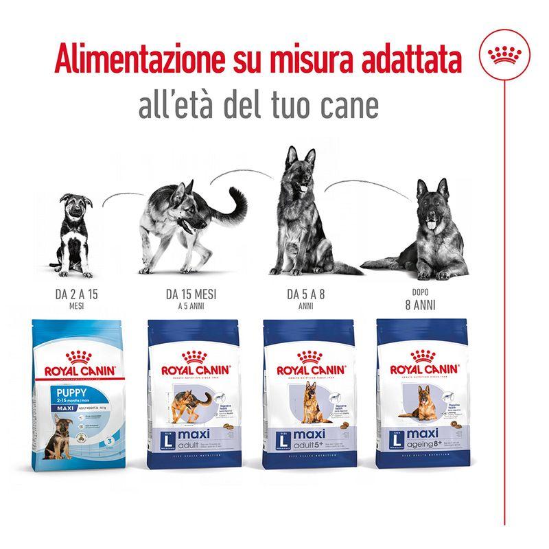 Zooplus Royal Canin Maxi Mature Adult 5+ Crocchette per cane 2025