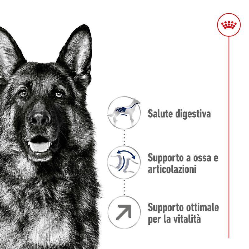 Zooplus Royal Canin Maxi Mature Adult 5+ Crocchette per cane 2025