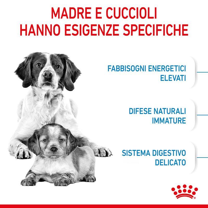 Zooplus Royal Canin Medium Starter Mother & Babydog Crocchette per cane In Linea