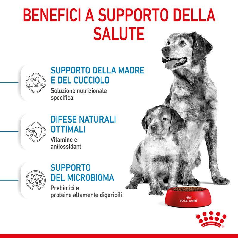 Zooplus Royal Canin Medium Starter Mother & Babydog Crocchette per cane In Linea