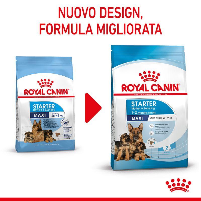 Zooplus Royal Canin Maxi Starter Mother & Babydog Crocchette per cane Nuovo