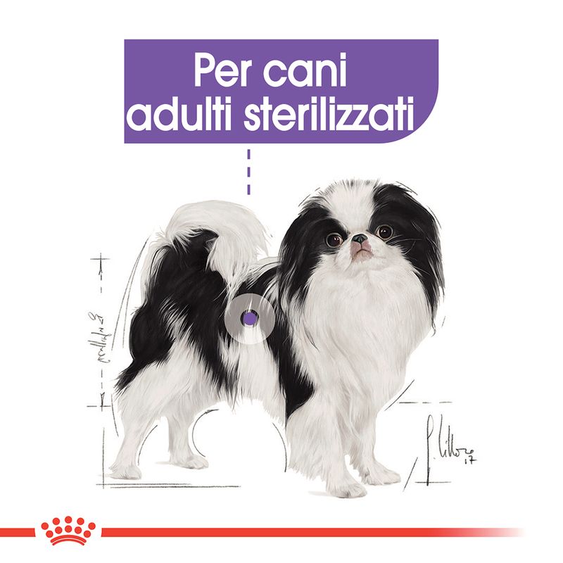 Zooplus Royal Canin X-Small Sterilised Crocchette per cane Qualità