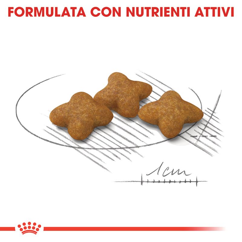 Zooplus Royal Canin X-Small Sterilised Crocchette per cane Qualità
