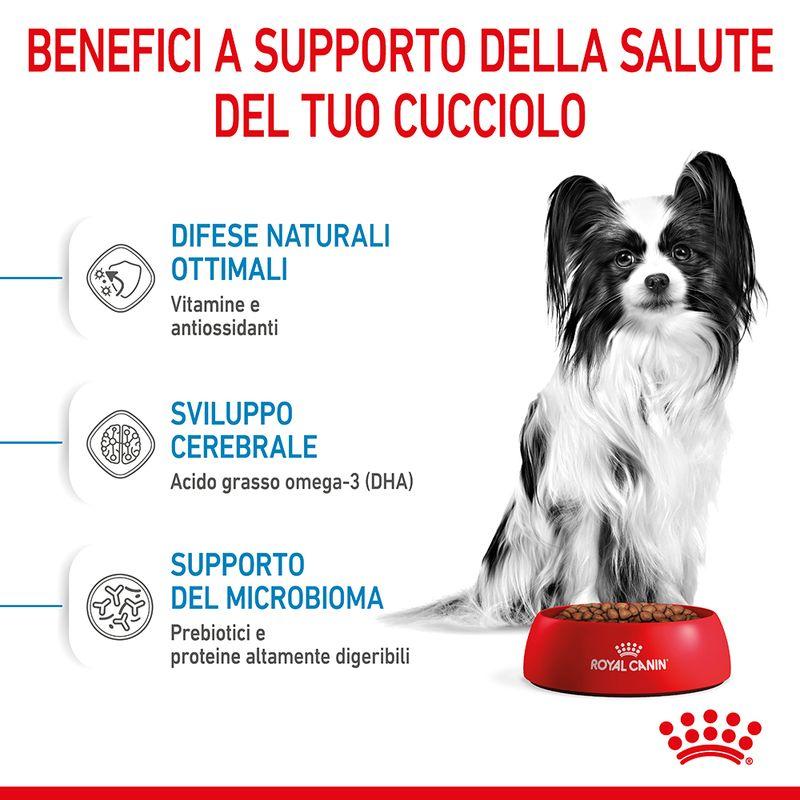 Zooplus Royal Canin X-Small Puppy Crocchette per cane Vendita