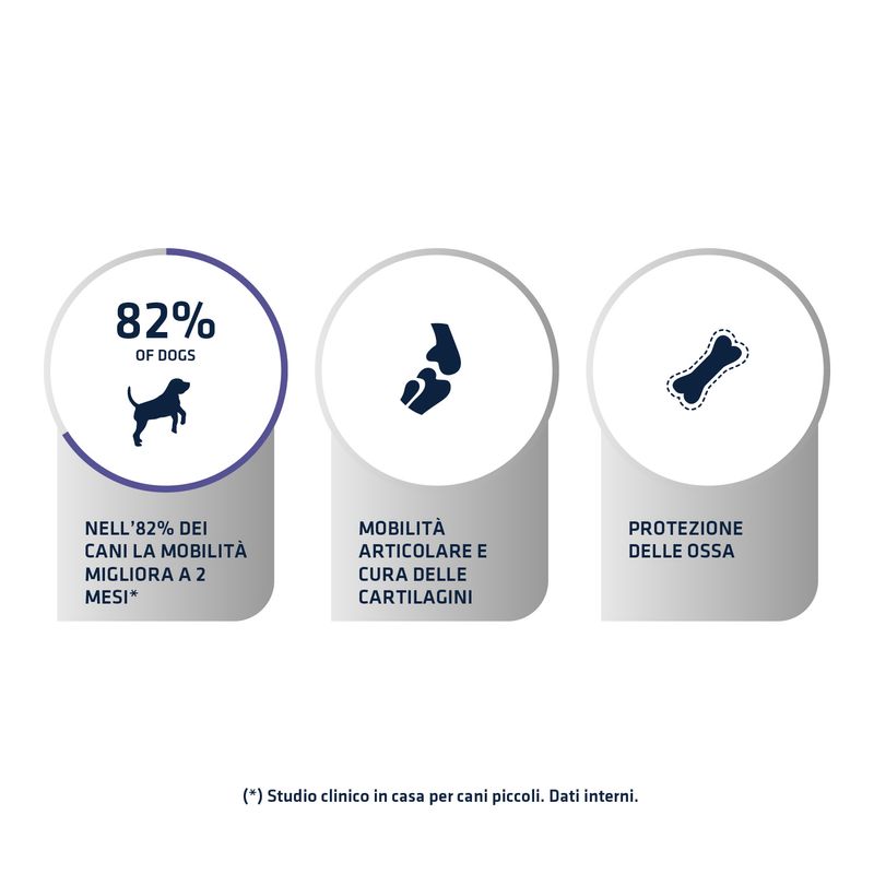 Zooplus Advance Veterinary Diets Articular Care Vendita